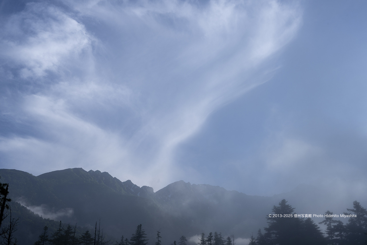 20250706-_DSC2113 のコピー