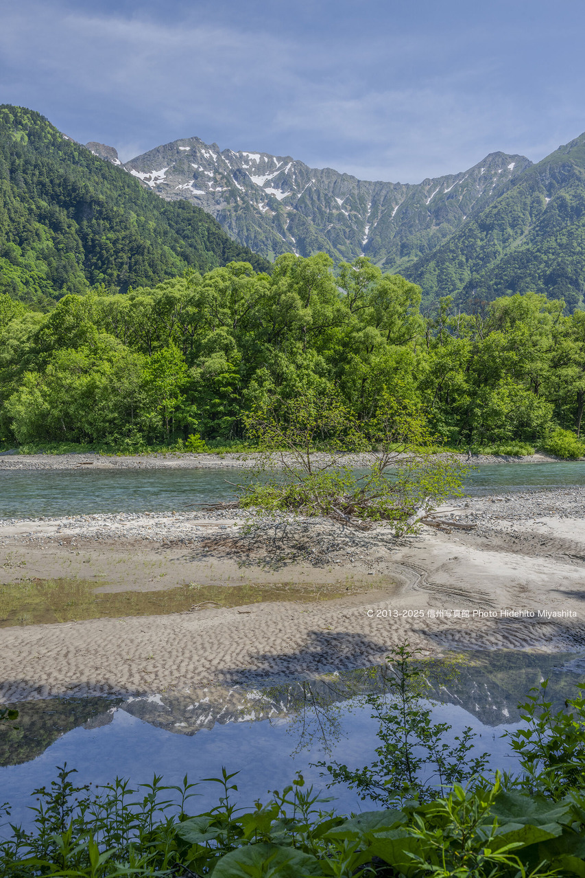 20250621-_DSC0265 のコピー