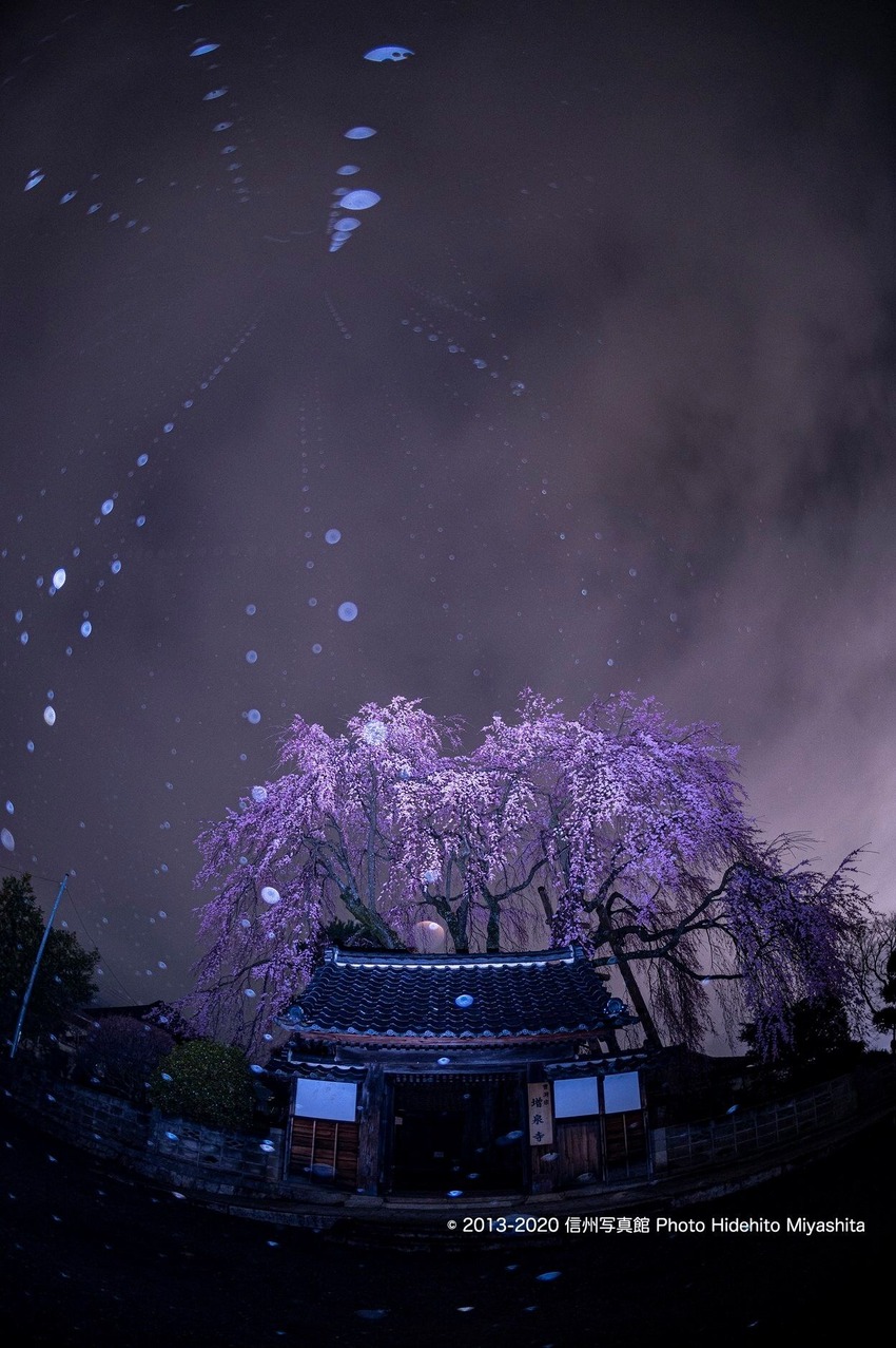 増泉寺の夜