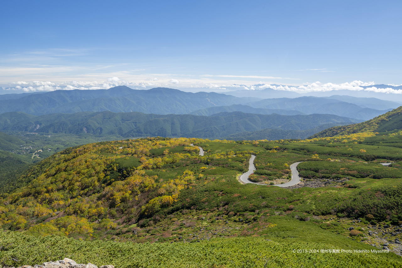20241001-_DSC9426 のコピー