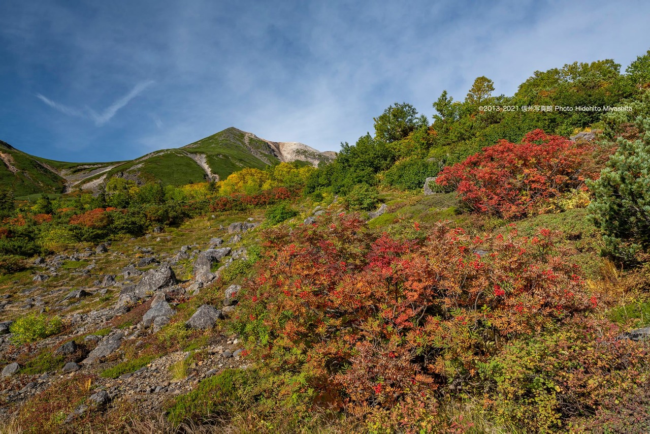 乗鞍岳の紅葉と鳥の様な雲