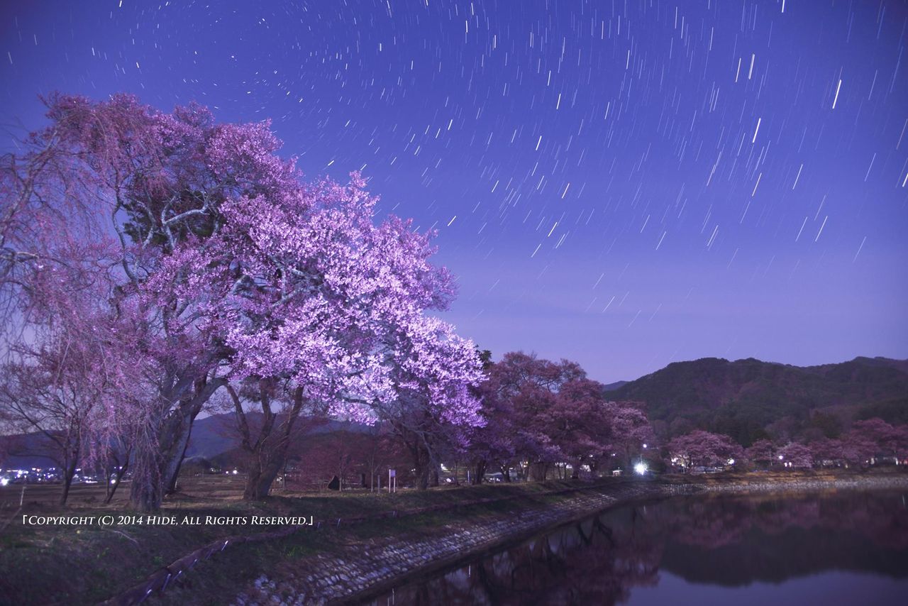 信州写真館 星の夜に 信州写真館 星の夜に