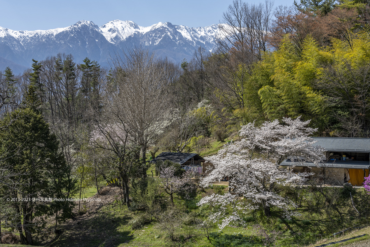 20230401-_DSC7544 のコピー