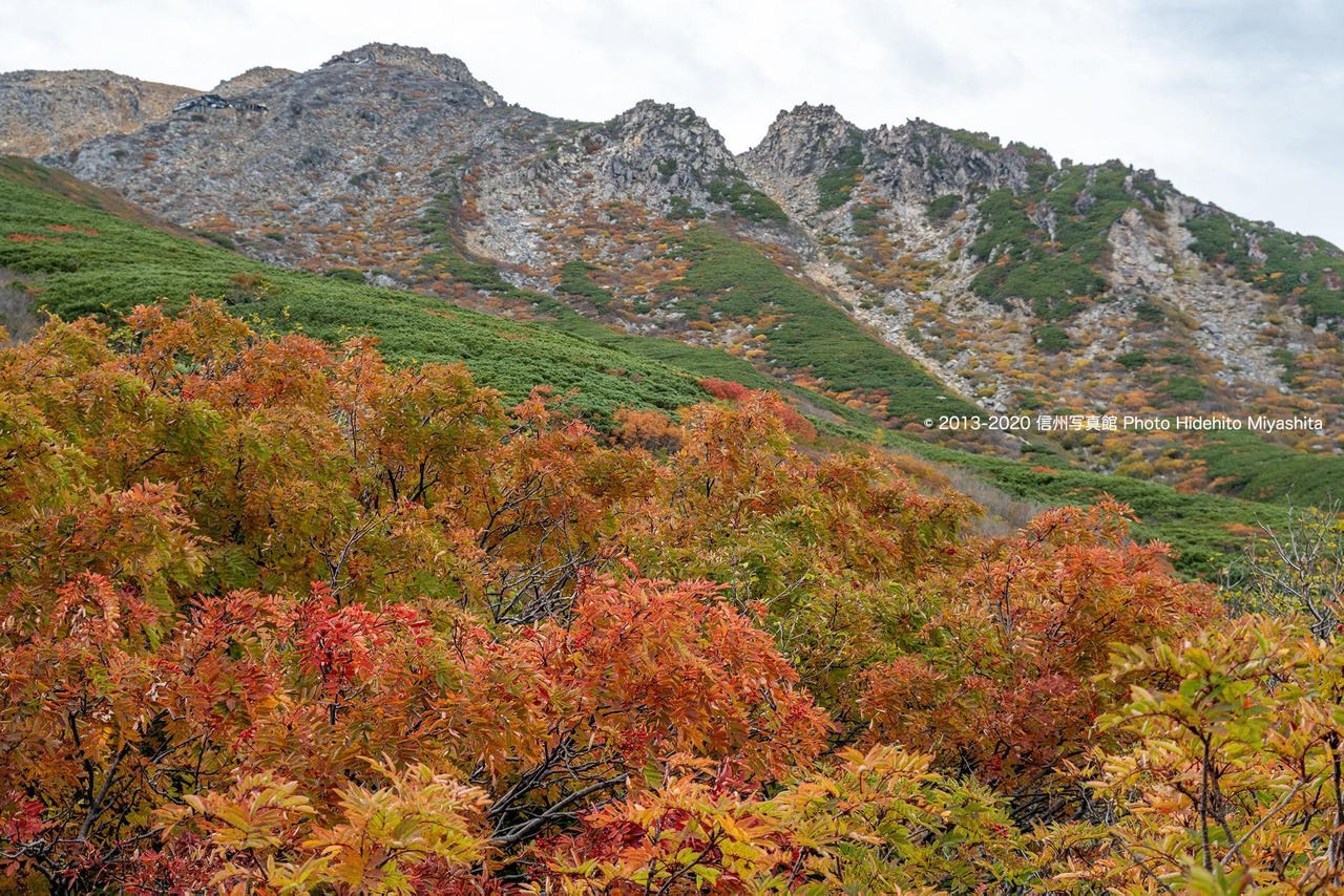 紅葉御嶽山