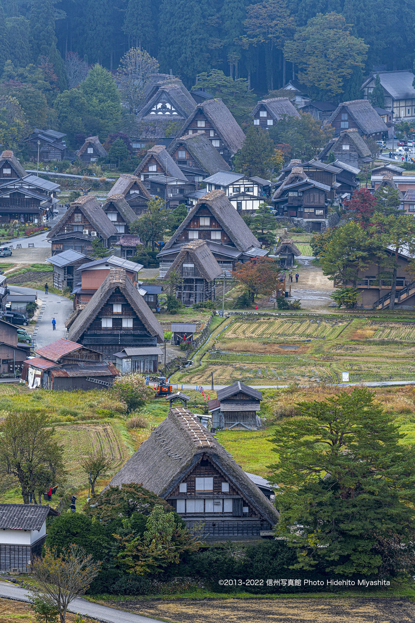 連なり20221030-_DSC1050