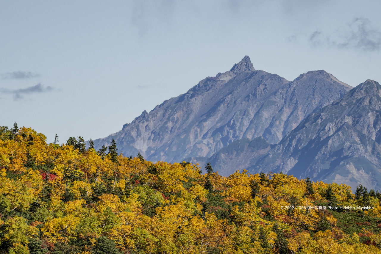 20250930-_DSC6469 のコピー