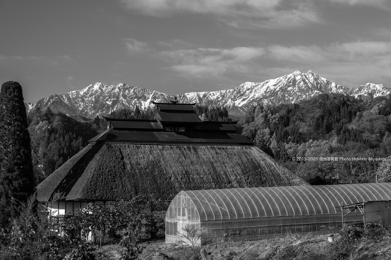 20251116-_DSC9057 のコピー