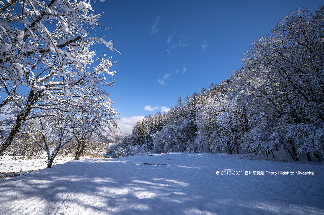 雪の朝_20211128-DSC_6837