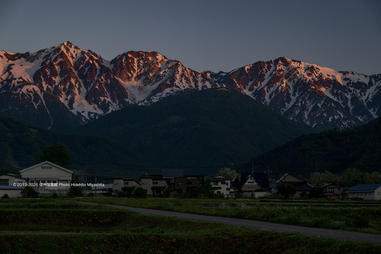 20260530-_DSC4111 のコピー