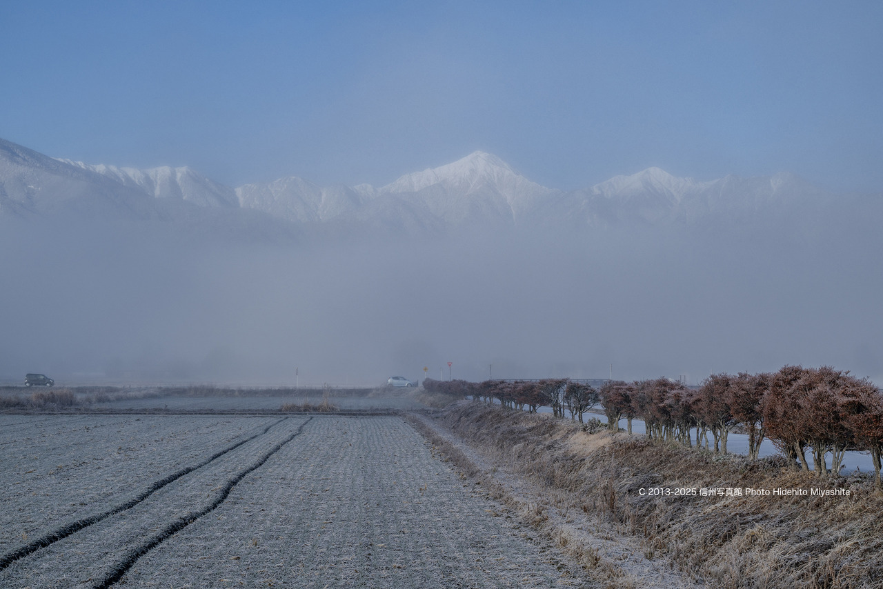 20251216-_DSC1786 のコピー