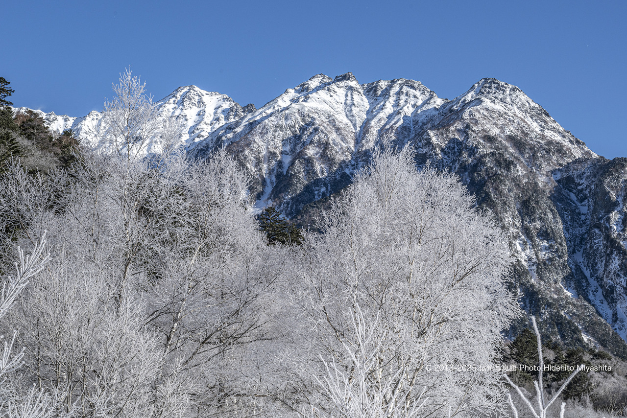 20251206-_DSC1244 のコピー