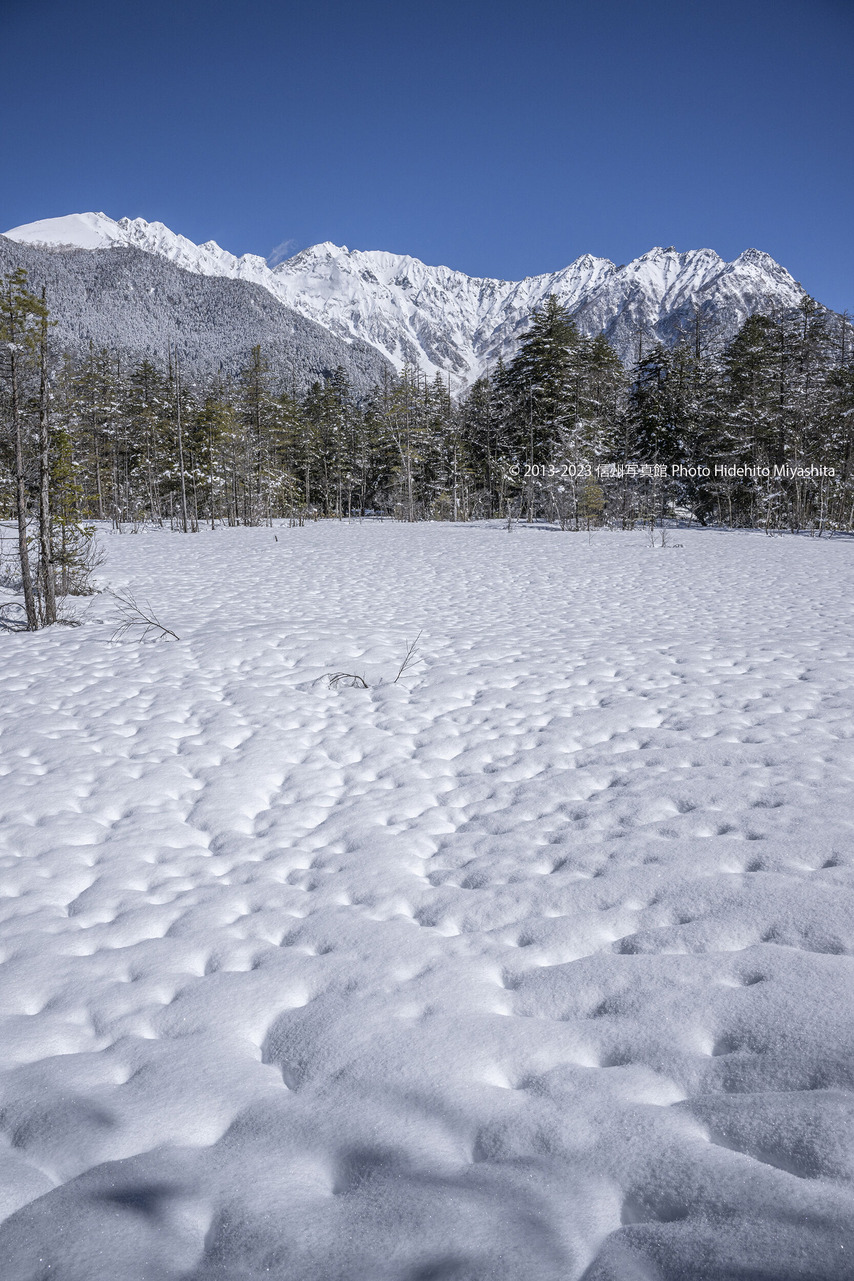 新雪の田城湿原20230319-_DSC3558