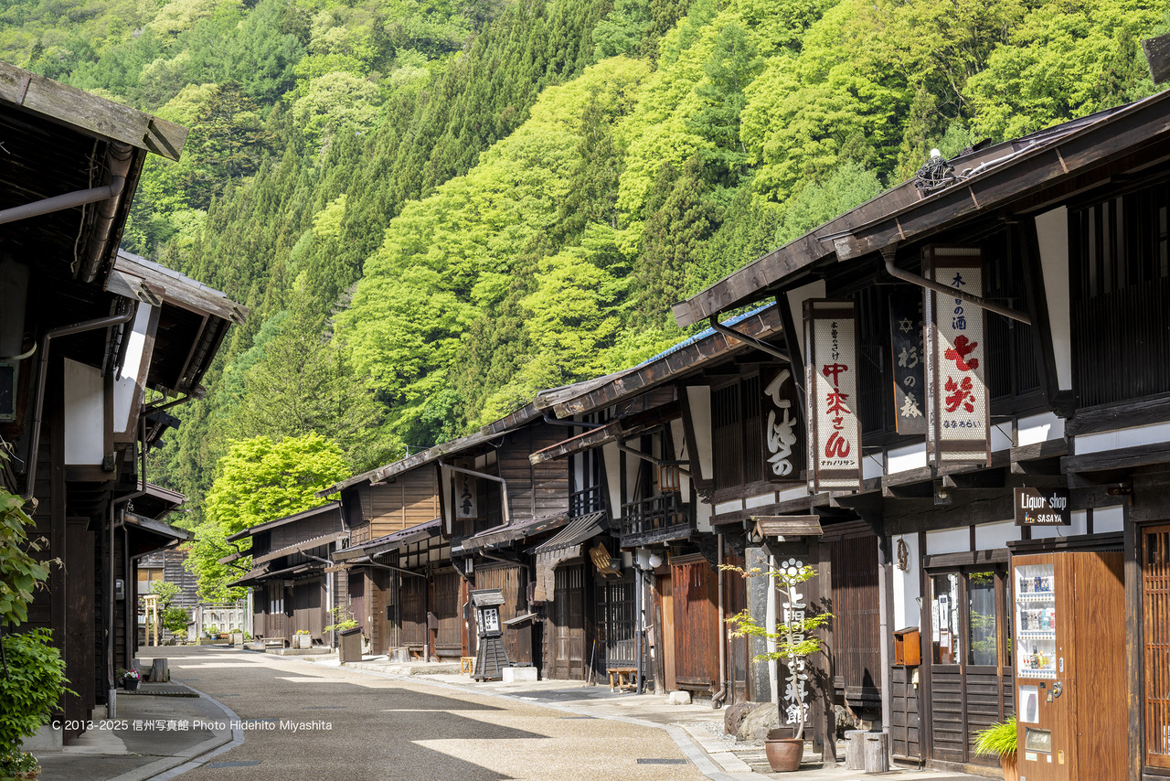 20250518-_DSC7385 のコピー