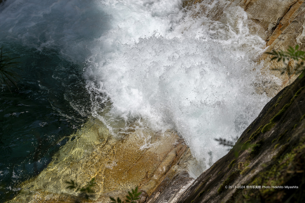 20240518-_DSC1150 のコピー