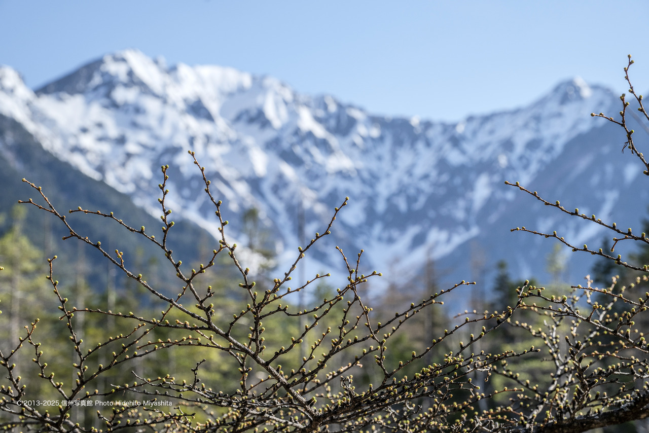 20250427-DSC_5024 のコピー