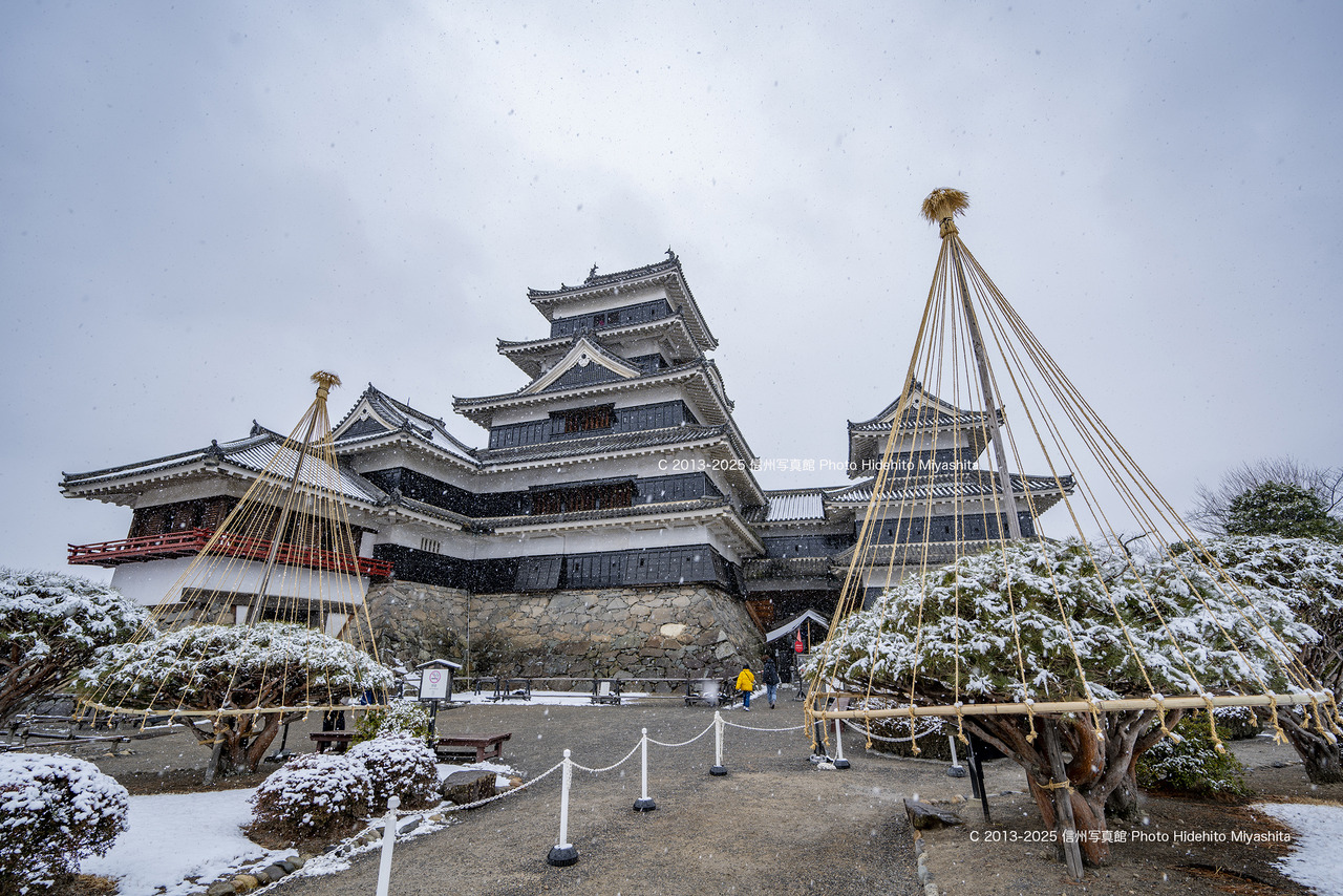 20250202-DSC_9802 のコピー