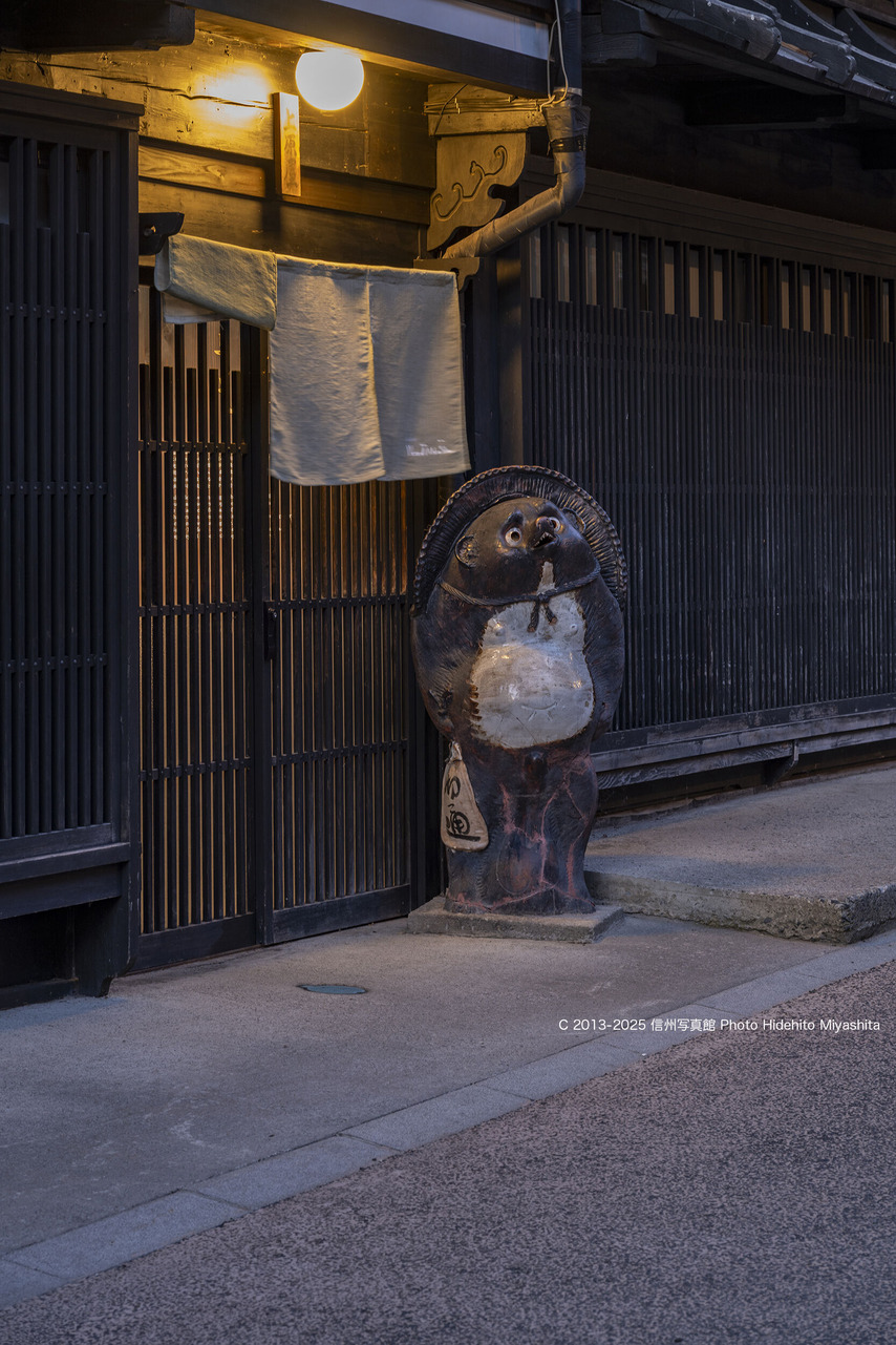 20250726-_DSC4790 のコピー