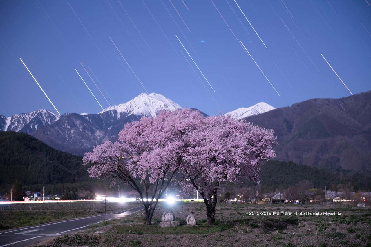常念岳道祖神の桜 2019