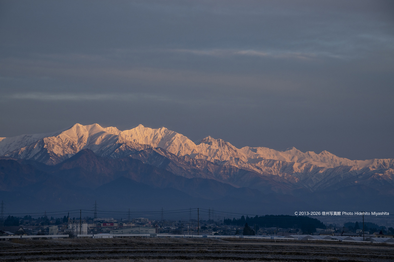 20260110-DSC_7296 のコピー