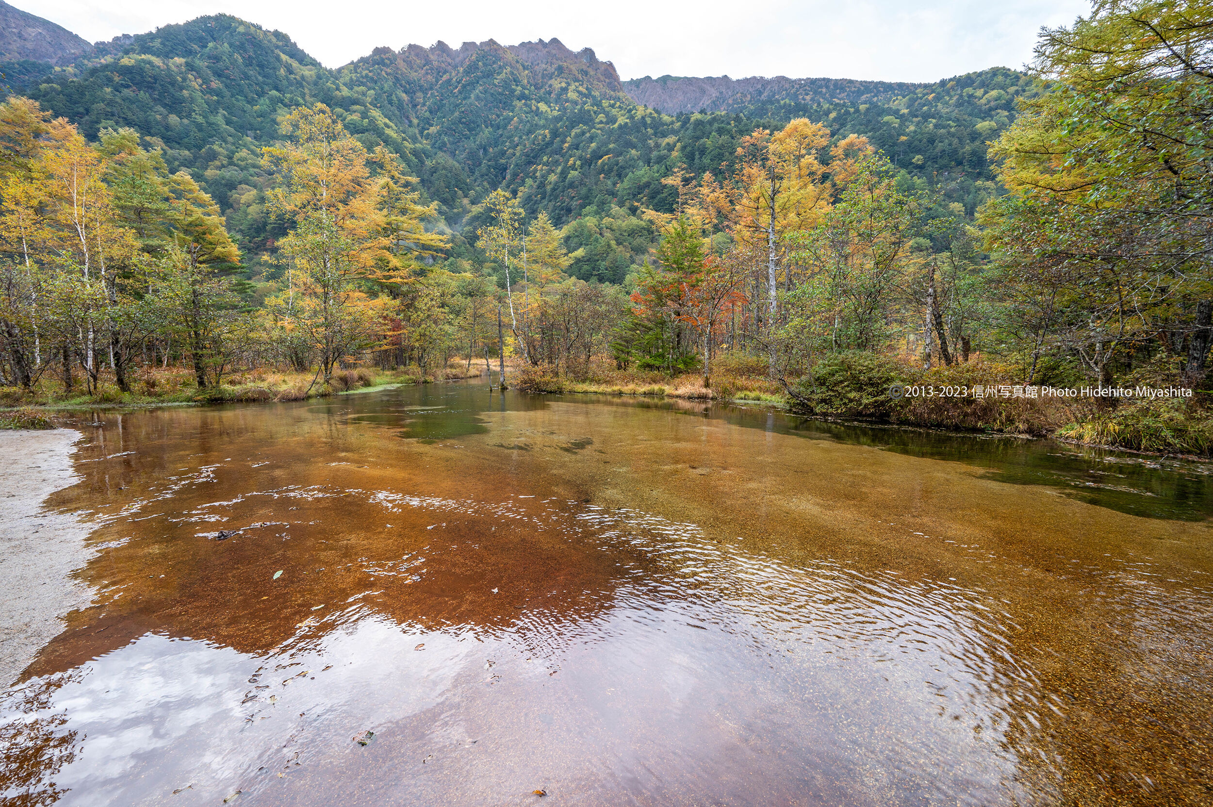 秋色田代池 : 信州写真館