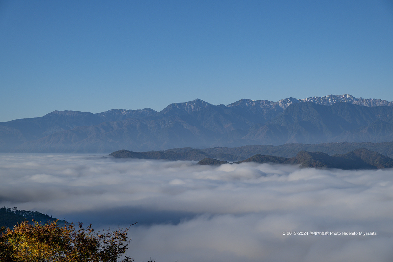 20241109-DSC_0862 のコピー