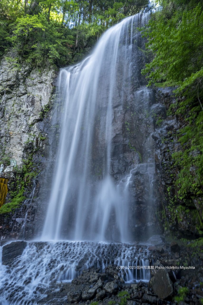 清滝20230604-_DSC7819