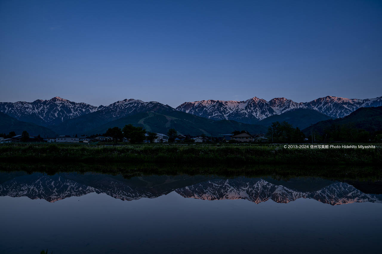 20240522-DSC_2713-強化-NR のコピー