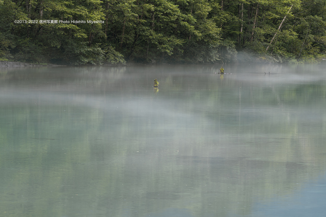 靄の大正池_20220831-_DSC7163