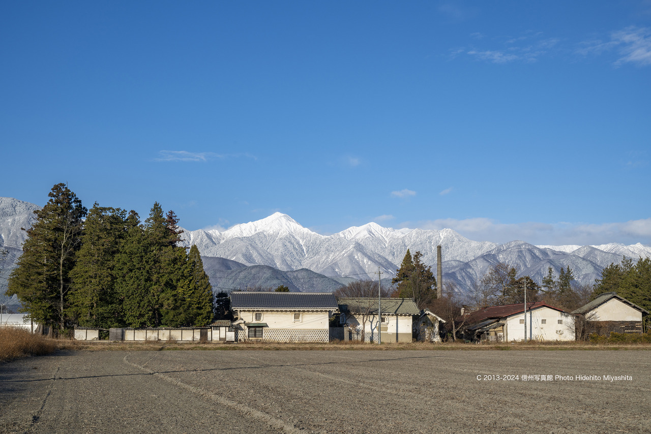 20241219-DSC_4864 のコピー
