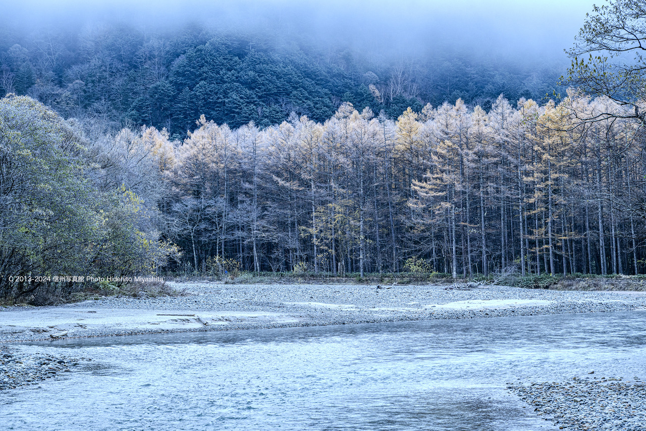 20241108-DSC_9277 のコピー