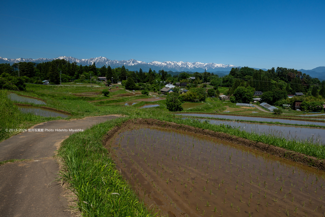 20260530-_DSC4466 のコピー