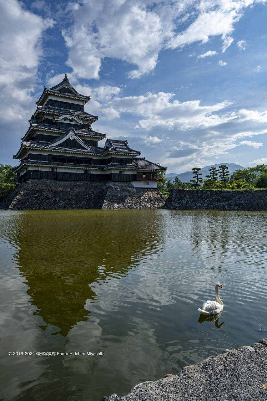 20240720-_DSC1598 のコピー