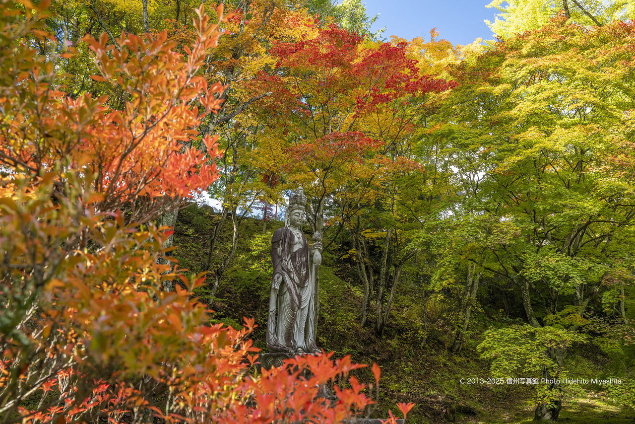 20251101-_DSC6918 のコピー