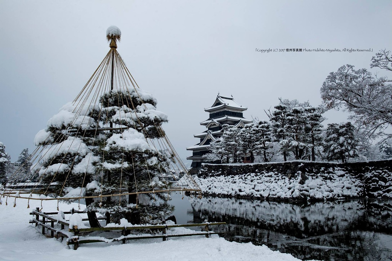 雪吊りと松本城