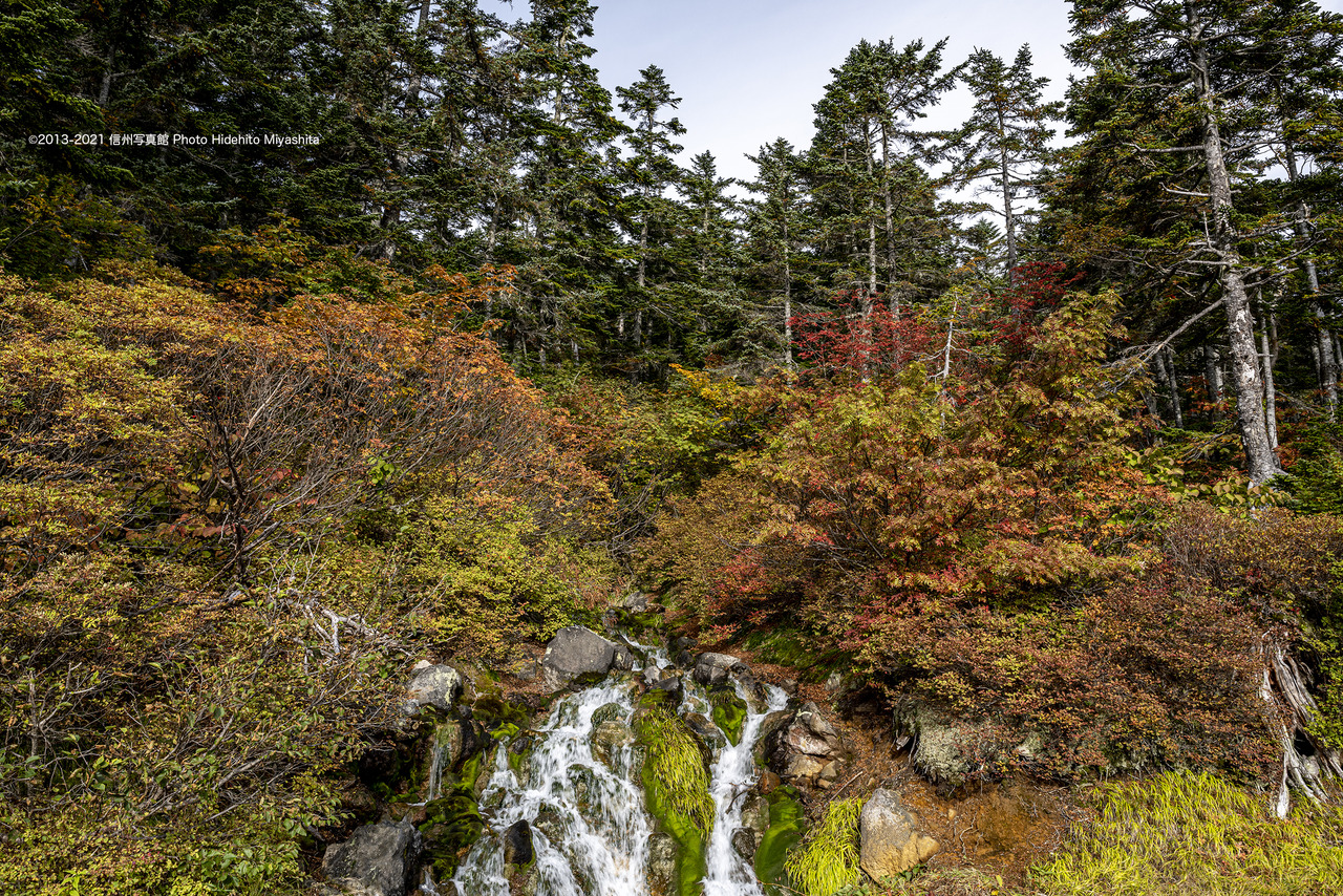 冷泉と紅葉20210924-_DSC1871