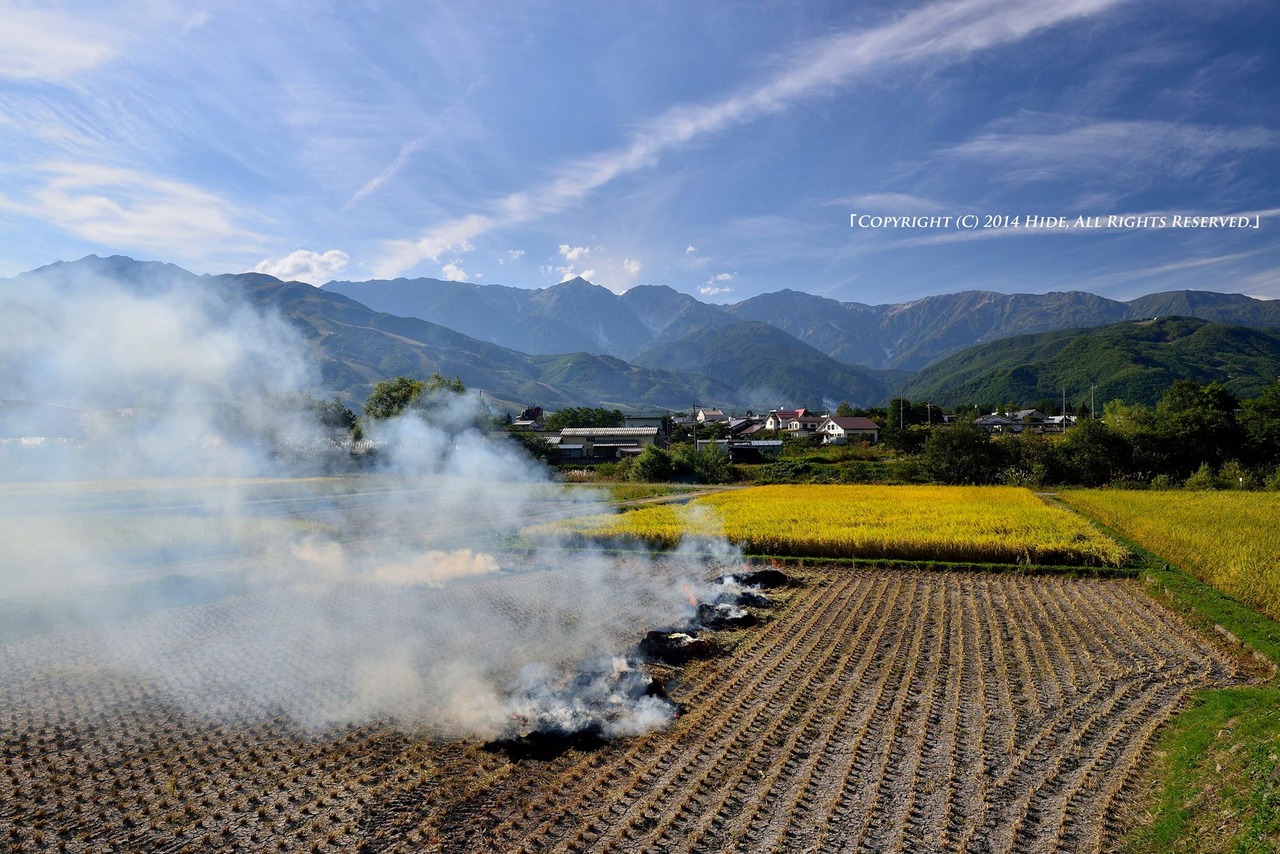 稲刈り済んで