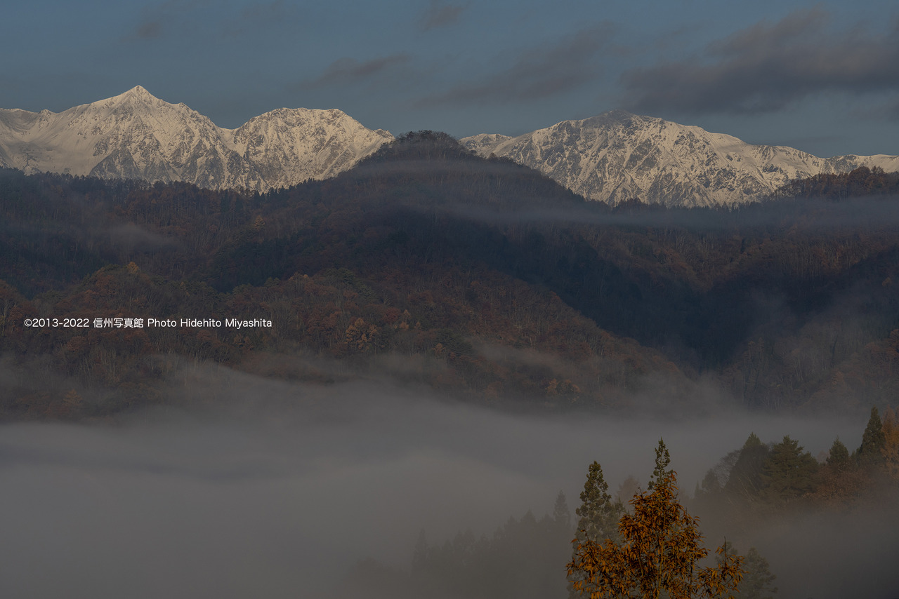 桃源郷_20221118-_DSC2313