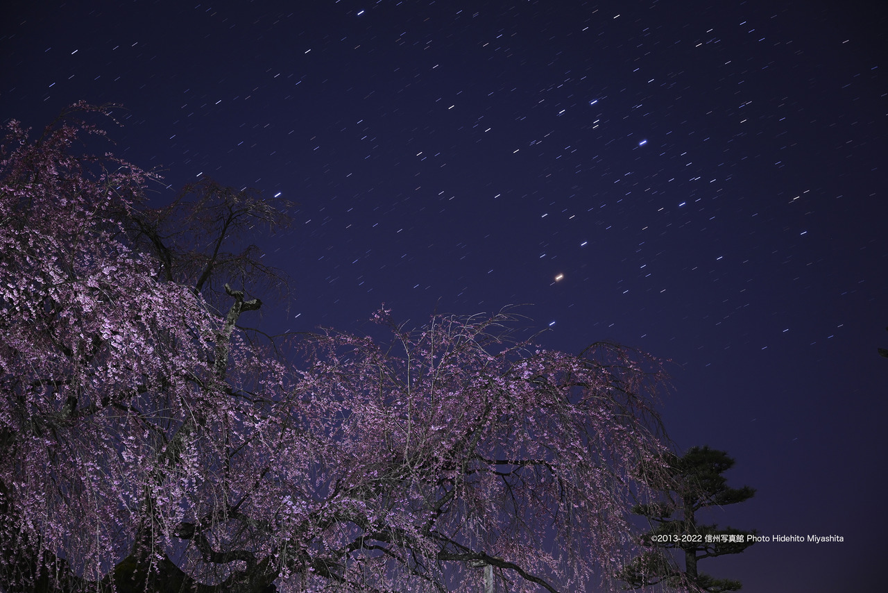 昇るさそり座_20220402-DSC_6252