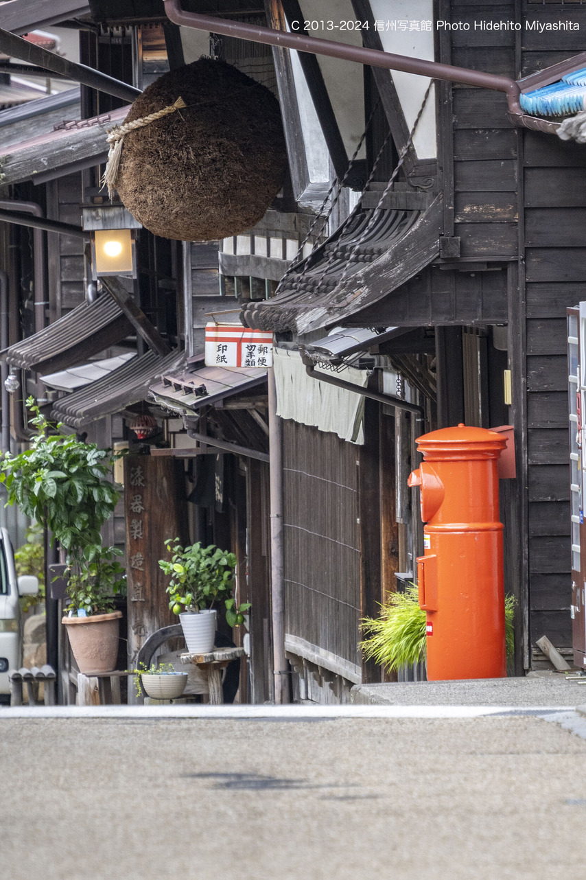 20240921-DSC_5071 のコピー