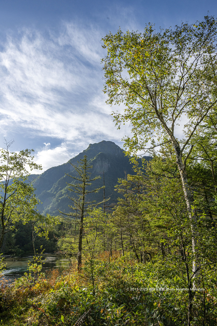 20250927-_DSC2176 のコピー