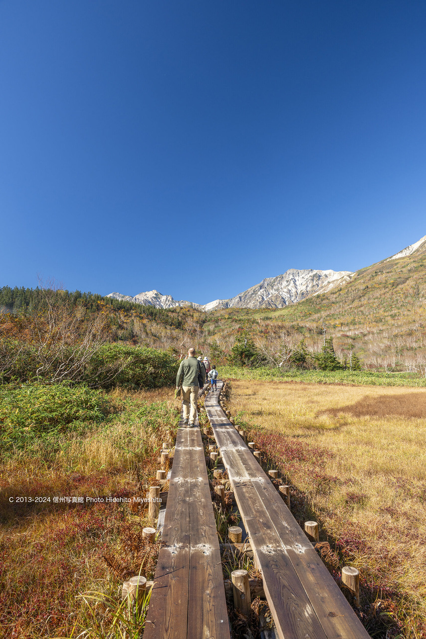 20241014-_DSC4537 のコピー