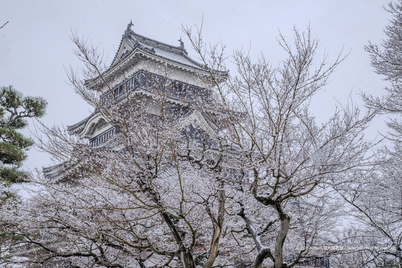 20250202-_DSC1034 のコピー