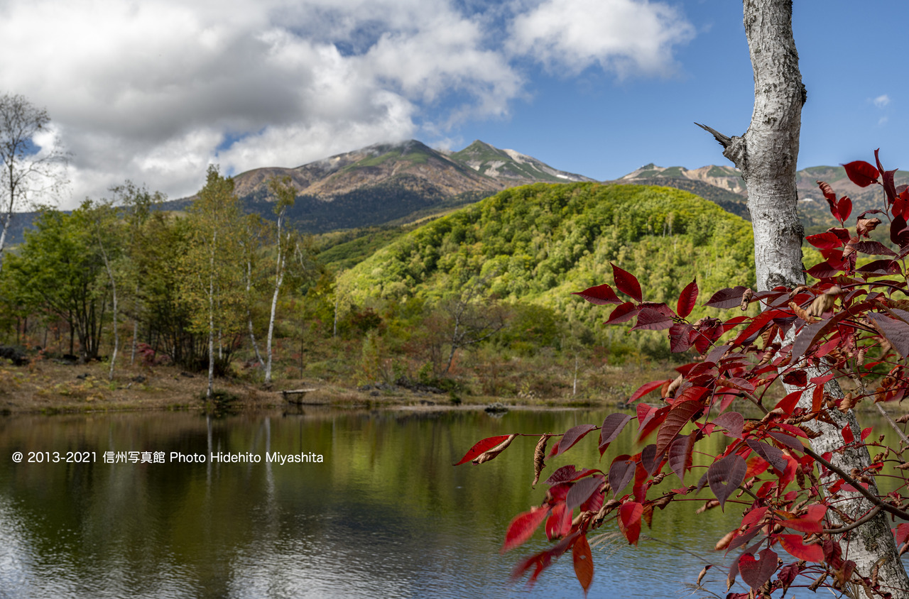 まいめの池より20211010-_DSC5497