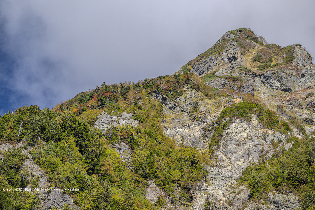 20241013-DSC_8421 のコピー