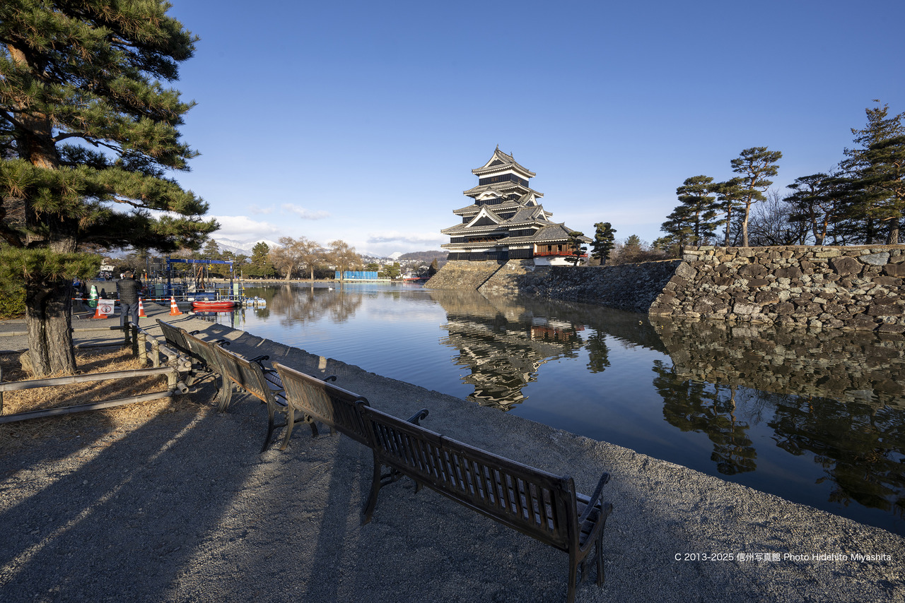 20250105-DSC_8646 のコピー