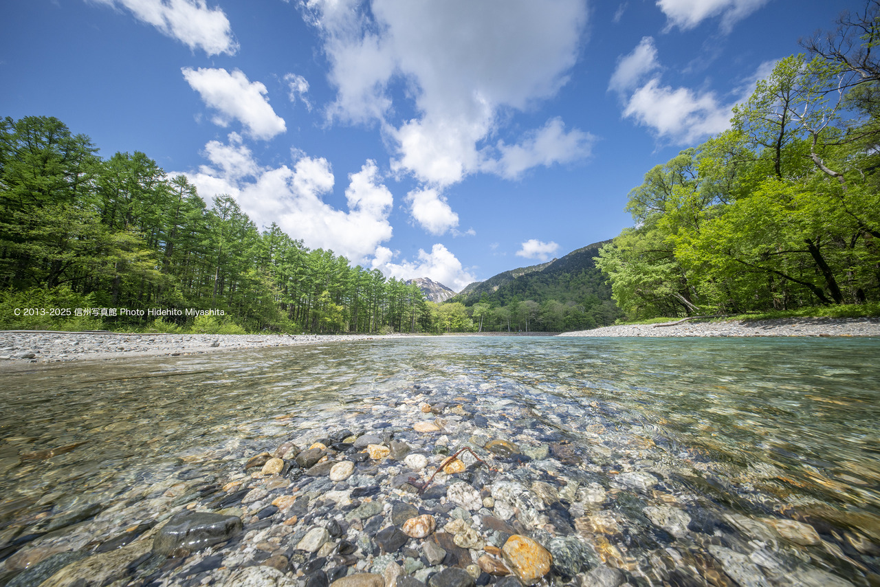 20250528-DSC_8597 のコピー