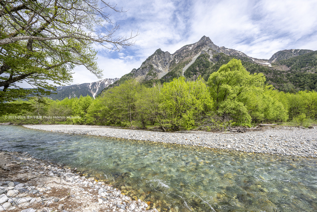 20240512-_DSC1089 のコピー