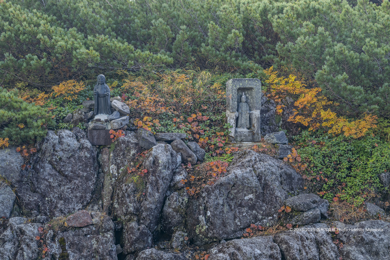 20250930-_DSC3527 のコピー