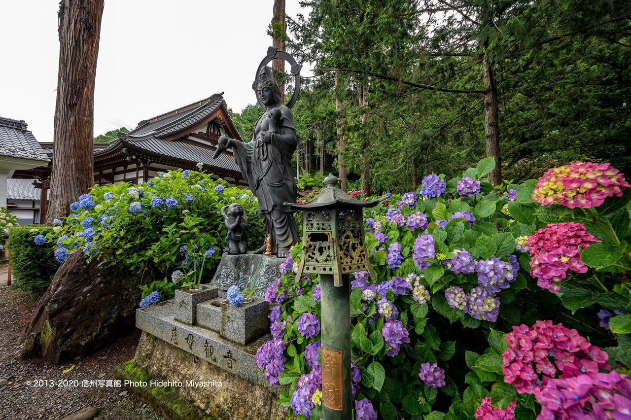 弘長寺にて