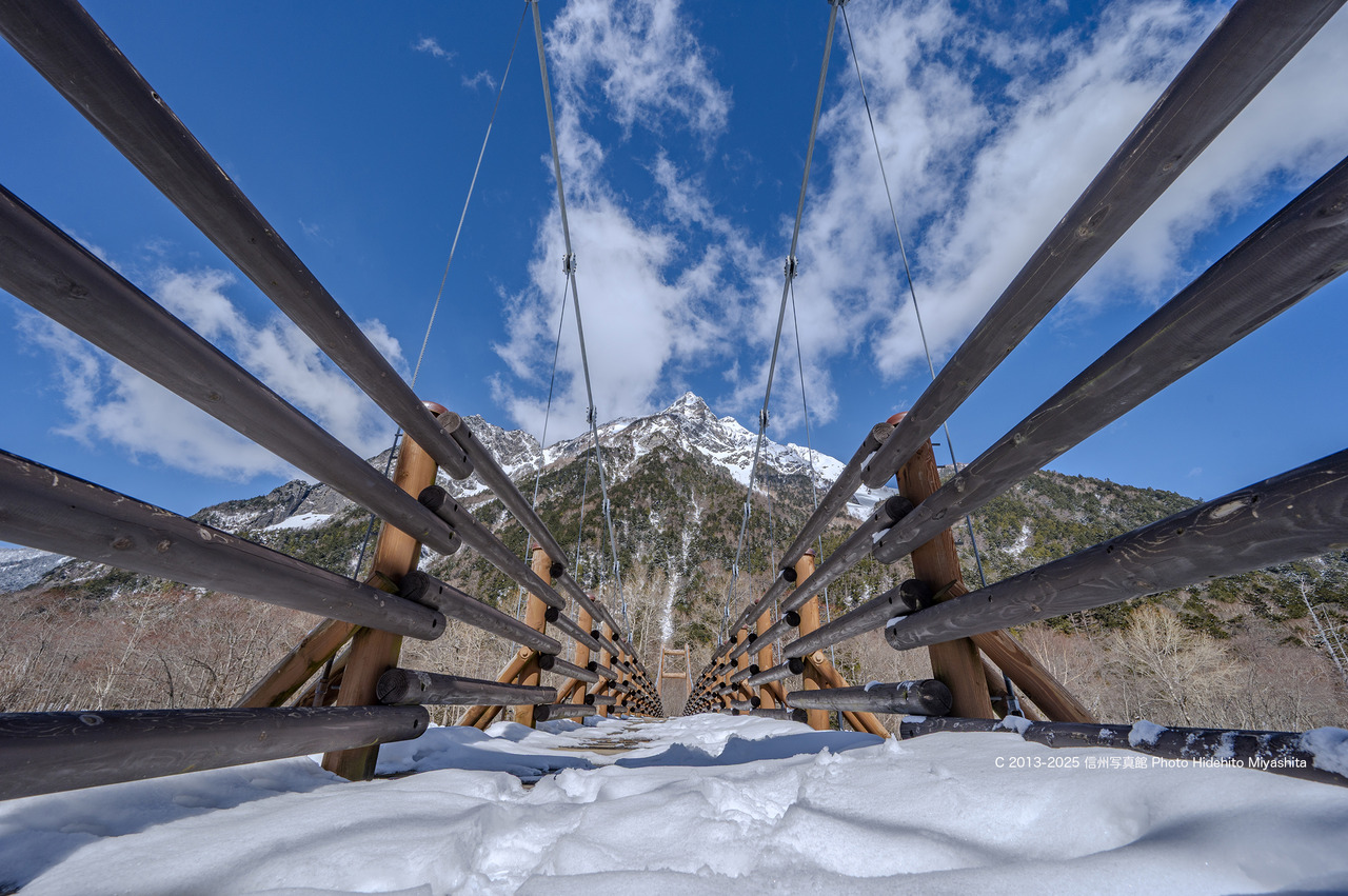 20250309-_DSC0652 のコピー